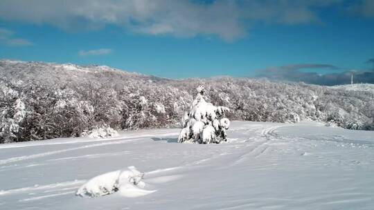 厚厚的积雪覆盖着乡村