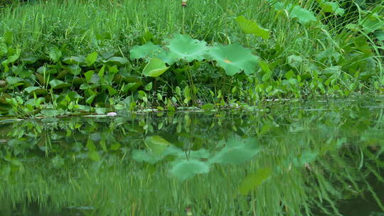 武汉东湖磨山风景区