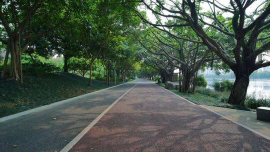 南宁南湖公园阳光林荫跑道