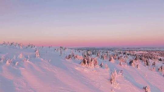 冬季雪地雪景