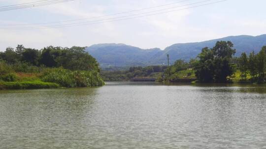 重庆大磨滩湿地公园湖畔自然风光