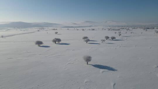 呼伦贝尔，额尔古纳河湿地公园冬季雪地0331