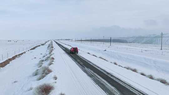 冬季新疆自驾 公路自驾 旅行 冰天雪地