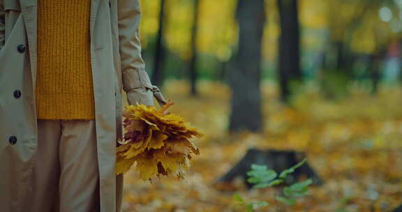 秋日孤独的女人走在公园里手里拿着落叶花束