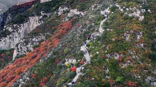 秋日红叶森林航拍满山红叶