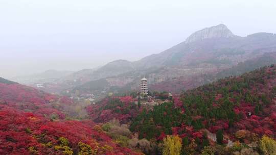 山东济南红叶谷航拍秋天