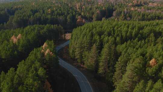 山林间的公路