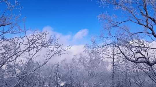 吉林延边朝鲜族自治州长白山景区