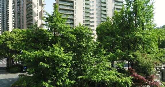 小区内高楼与绿植景观