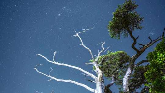 海南五指山热带雨林国家森林公园星空流星