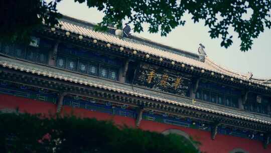 重庆华岩寺寺院风光视频素材模板下载