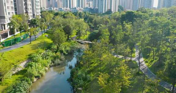 湿地公园景观步道景观河道