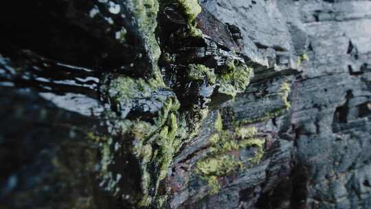 岩石形成，悬崖，湿，苔藓