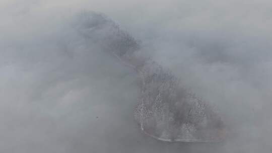 武汉湖泊秋冬湿地生态湖面候鸟飞翔