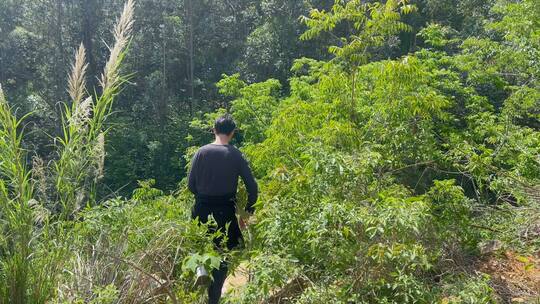 森林野外探险树林穿梭荒野徒步爬山户外丛林视频素材模板下载