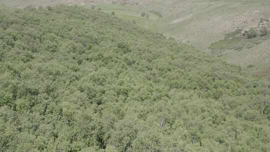 航拍内蒙古呼和浩特敕勒川高山草原夏季风光