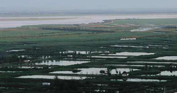 陕西合阳黄河滩涂鱼池莲菜池【套组】