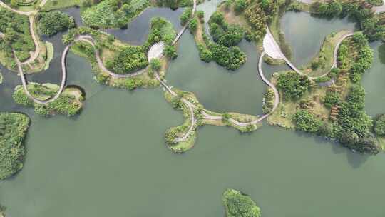 城市绿化植物眉山东坡城市湿地公园航拍