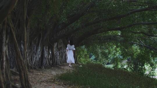 唯美女孩美女在树林行走背影4k视频素材