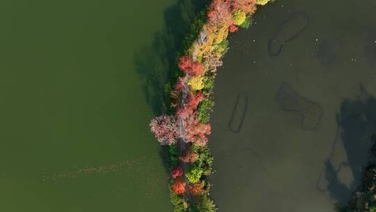 航拍南京中山陵前湖公园秋季景色