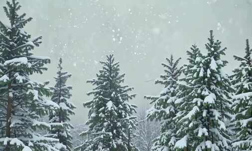 冬天唯美雪景 雪花飘落 (1)