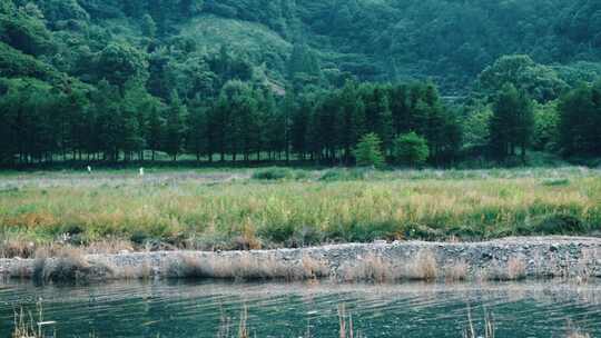 唯美日系户外山丘湖泊河流草原空镜头合集