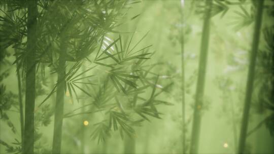 晨雾中的竹林