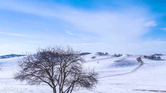 冬季内蒙古乌兰布统蓝天白云雪景