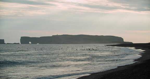 黑色海滩，悬崖，海洋，冰岛