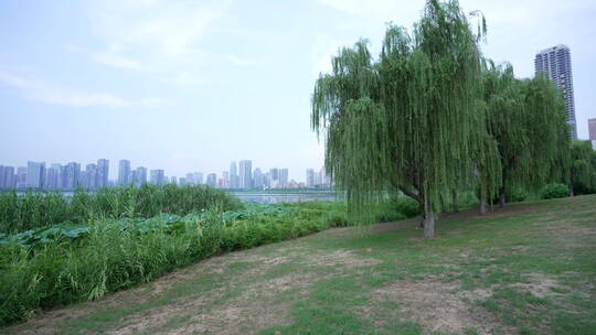 武汉武昌区沙湖公园4K视频素材