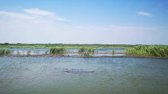 实拍 湖南 岳阳 洞庭湖 湖面