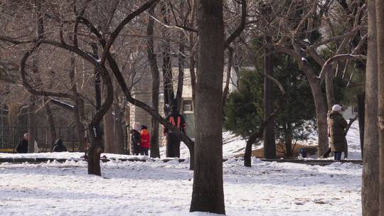 冰天雪地冬季寒冷积雪冰冻行人