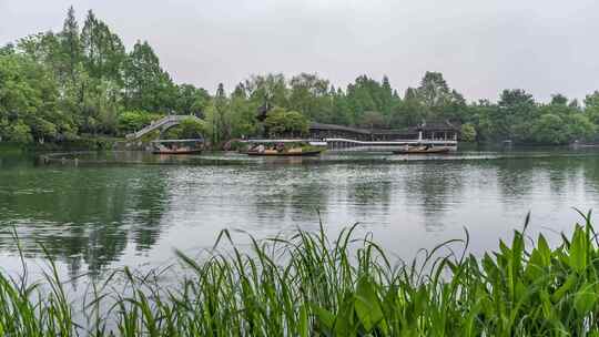 杭州西湖 浴鹄湾 春季景观 延时