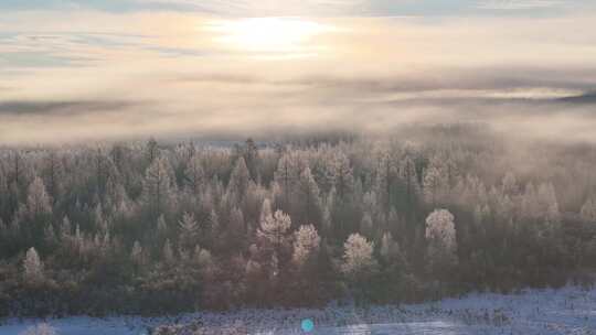 航拍林海雪原云雾弥漫山林雾凇2241102 (6)