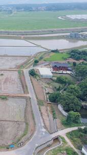 春耕农田水田种植竖屏航拍