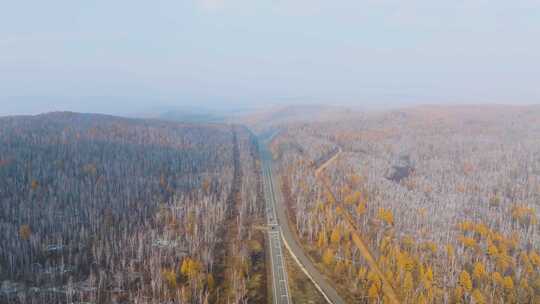 4k航拍车辆行驶在大兴安岭的道路上