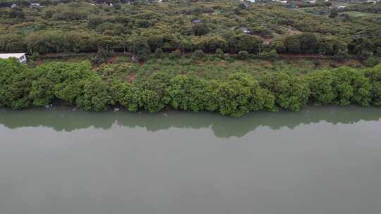 河流河岸航拍