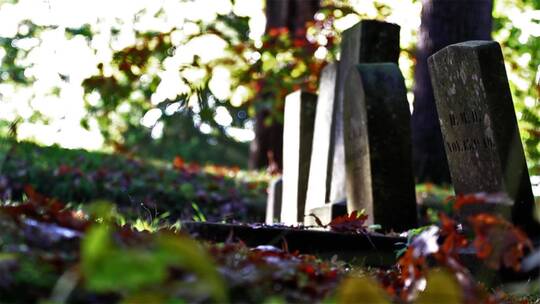 秋季的墓地