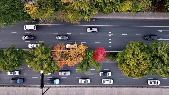 航拍汽车行驶在城市的公路上