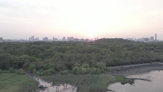 上海吴淞口灯塔长江入海口炮台湿地公园