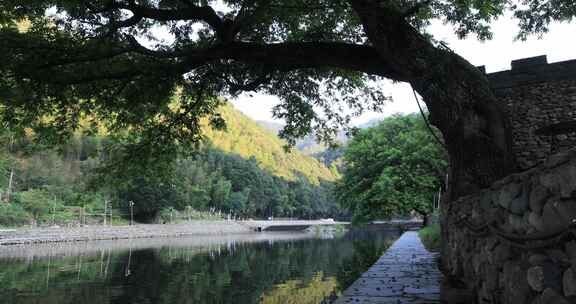 清晨清山绿水宁静的河道 江西瑶里古镇风光