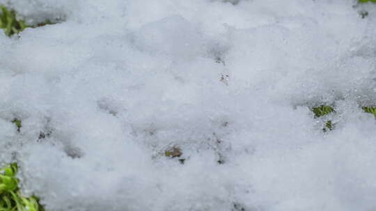 闪亮融化的雪颗粒的微距延时拍摄