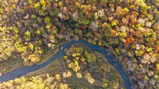 航拍东北秋季多彩森林与河流