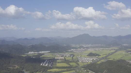 括苍山森林云海风光高山森林