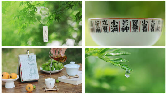 4K 芒种 芒种节气  播种耕种雨水空镜