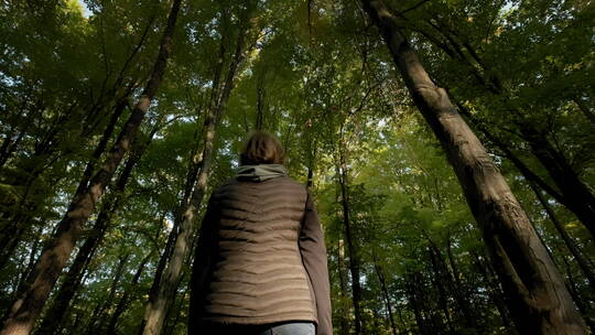 女人在森林中散步视频素材模板下载