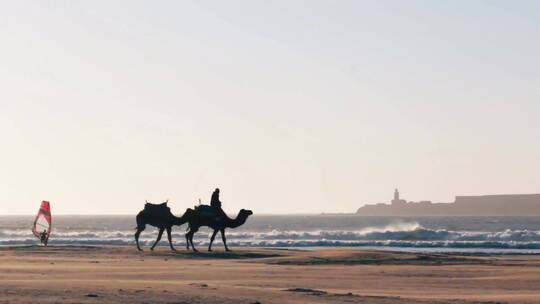 大洋上的骆驼商队