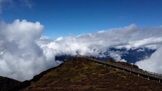 四川凉山州玛娜茶金牧场草原自然风光