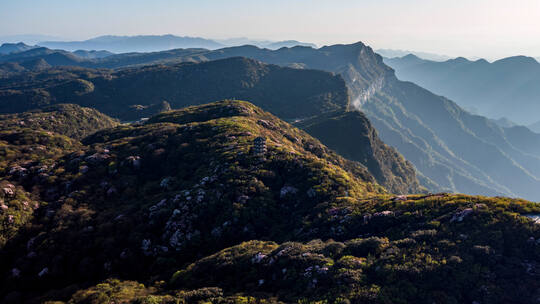 金佛山杜鹃花海延时