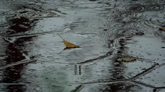 下雨路面雨滴落叶